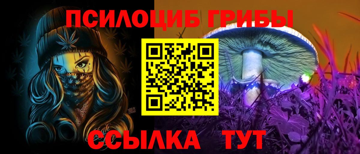 купить закладку  Галлюциногенные грибы мухоморы  Псилоцибиновые грибы мицелий  Вход с VPN  Волгодонск 