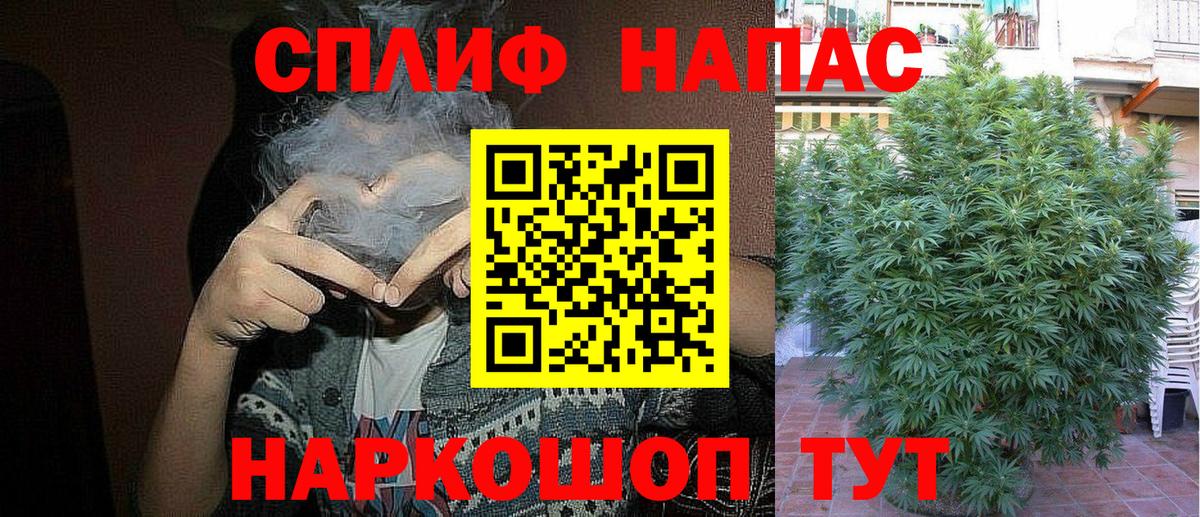 Марихуана SATIVA & INDICA  Канабис OG Kush  Вход с VPN  Волгодонск  Марихуана MAZAR  Каннабис ГИДРОПОН 
